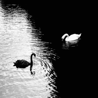 Noir&Blanc